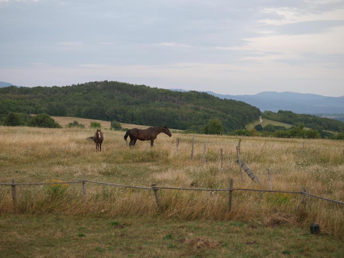 Selanka Off Road Hill View Hotel Moravske Lieskove Bagian luar foto